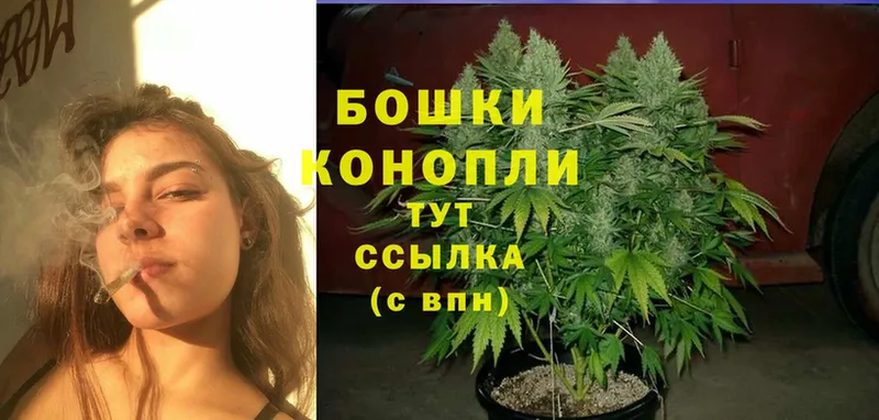 Конопля Ganja  как найти закладки  Карпинск 